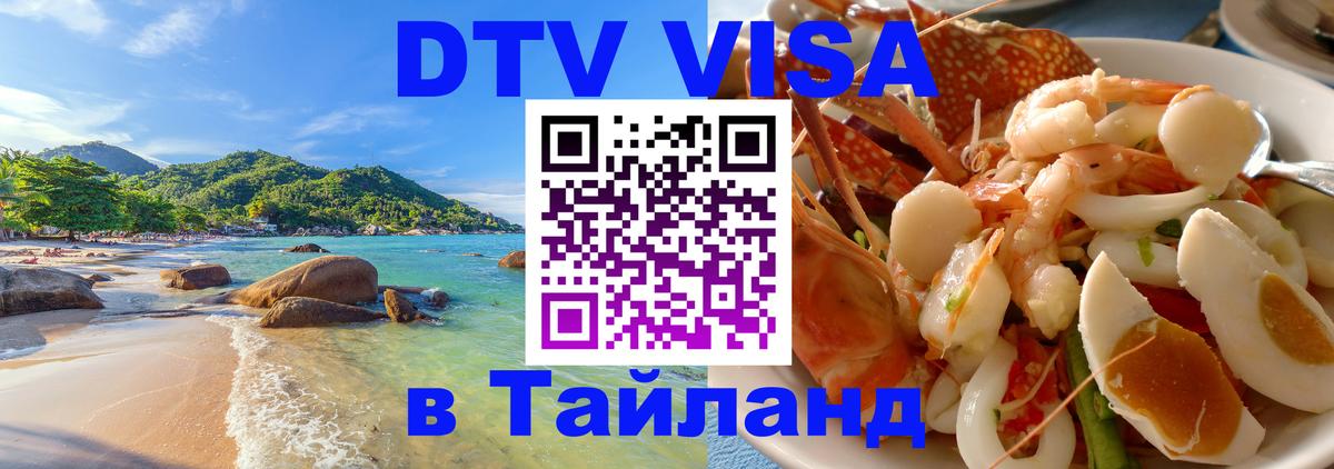 Оформление DTV визы под ключ: стоимость и тарифы, только загранпаспорт - Мурино 